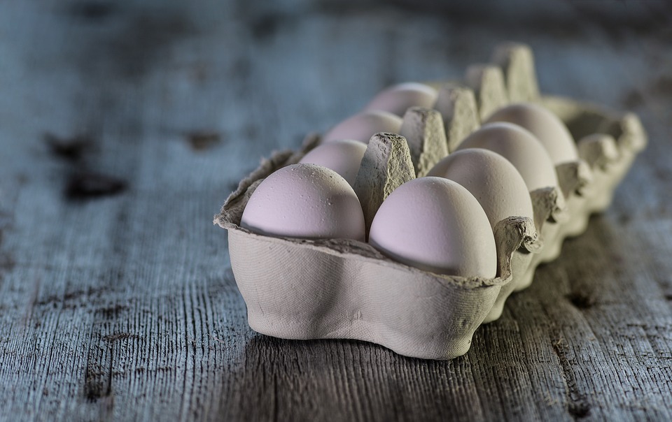 Warum du regelmäßig Eier essen solltest + Rezept !