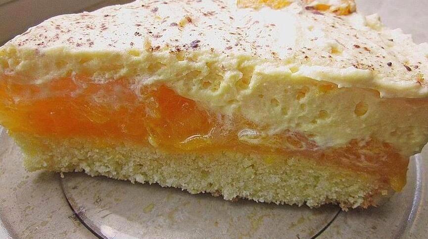Blitzschnelle Mandarinen Torte mit Vanillepudding