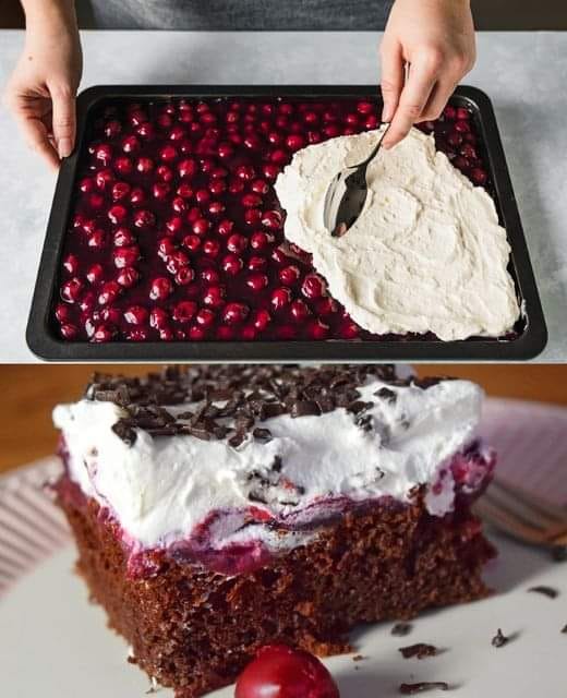  Schwarzwälder Pudding Blechkuchen mit 2 Gläser Sauerkirschen