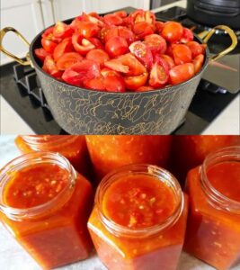 Read more about the article Tomatensauce mit 250ml Essig die mache ich jedes Jahr
