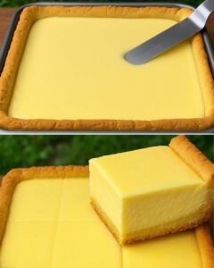 Read more about the article Quarkkuchen vom Blech mit vanillepudding in 15 Minuten