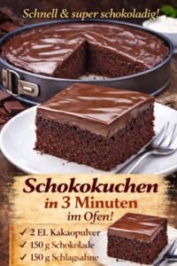 Read more about the article Ein Traum sowas von lecker, Schokokuchen in 3 Minuten