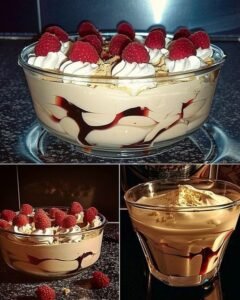 Read more about the article Selbstgemachte Baileyscreme mit 500g Mascarpone!