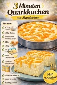 Read more about the article 3 Minuten Mandarine Quarkkuchen mit 800g Quark!