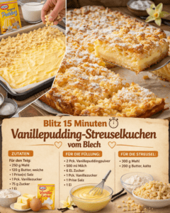 Read more about the article Geniealer 15 Minuten Vanillepudding Streuselkuchen vom Blech