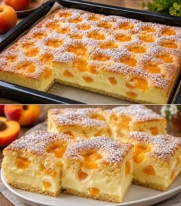 Read more about the article 12 Esslöffel Kuchen mit Quark und Mandarinen