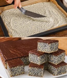 Read more about the article Mohnkuchen mit 10 Minuten Zubereitungszeit