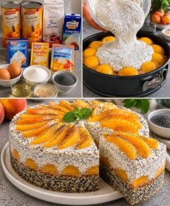 Read more about the article Pfirsich Mohntorte ein Traum megalecker!