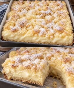 Mehr über den Artikel erfahren Pudding Streuselkuchen vom Blech, Zergeht auf der Zunge!